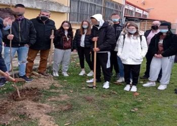 Δενδροφυτεύσεις στις σχολικές μονάδες του Δήμου Φλώρινας