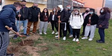 Δενδροφυτεύσεις στις σχολικές μονάδες του Δήμου Φλώρινας