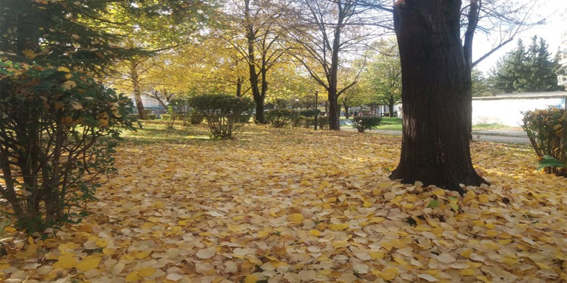 Όμορφες σημερινές εικόνες με χρώματα της ΦΘΙΝΟΠΩΡΙΝΗΣ παλέτας ! (της Κούλας Πουλασιχίδου)