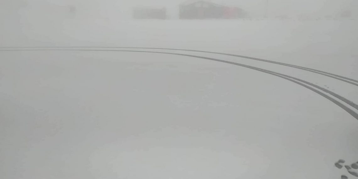 “Λευκό” χαλί στο χιονοδρομικό Κέντρο Βασιλίτσας