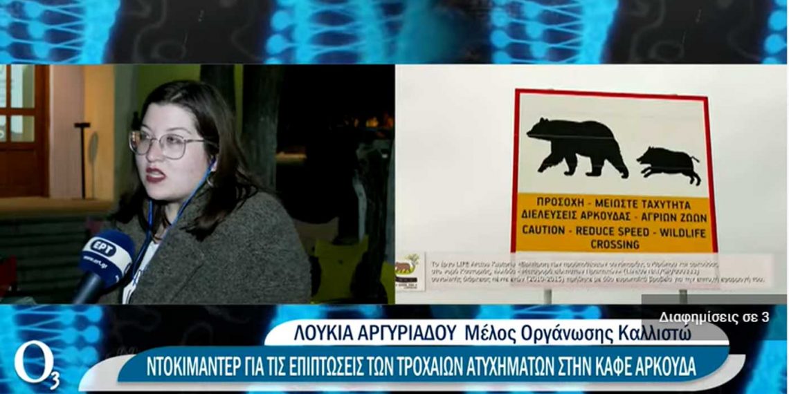 Ζώντας μαζί με την καφέ αρκούδα στη Δυτική Μακεδονία – Το ρεπορτάζ της ΕΡΤ για το πρόγραμμα LIFE AMYBEAR στο Δήμο Αμυνταίου