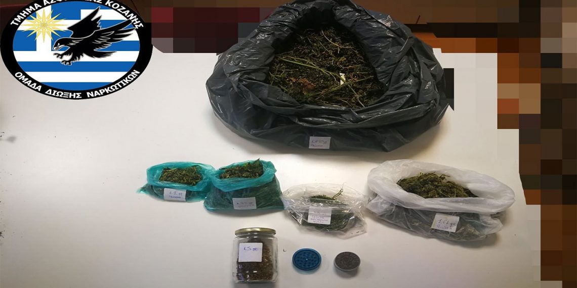 Κοζάνη: 61χρονος καλλιεργούσε δενδρύλλια κάνναβης –Κατασχέθηκαν και 294 γρ. κάνναβης- Συνελήφθη με τη συνδρομή αστυνομικού σκύλου
