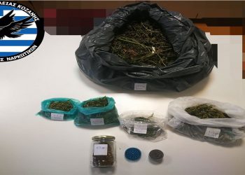 Κοζάνη: 61χρονος καλλιεργούσε δενδρύλλια κάνναβης –Κατασχέθηκαν και 294 γρ. κάνναβης- Συνελήφθη με τη συνδρομή αστυνομικού σκύλου