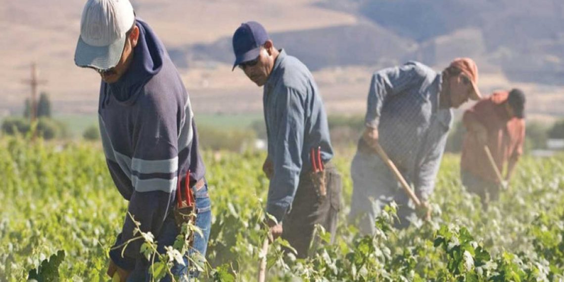 Παράταση παραμονής για τους εργάτες γης – Θετική αλλά καθυστερημένη απόφαση λένε οι παραγωγοί της Δ. Μακεδονίας