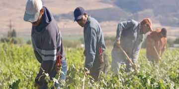 Παράταση παραμονής για τους εργάτες γης  – Θετική αλλά καθυστερημένη απόφαση λένε οι παραγωγοί της Δ. Μακεδονίας