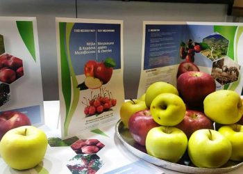 Ο Δήμος Εορδαίας συμμετείχε στη Διεθνή Έκθεση Τουρισμού «PHILOXENIA»