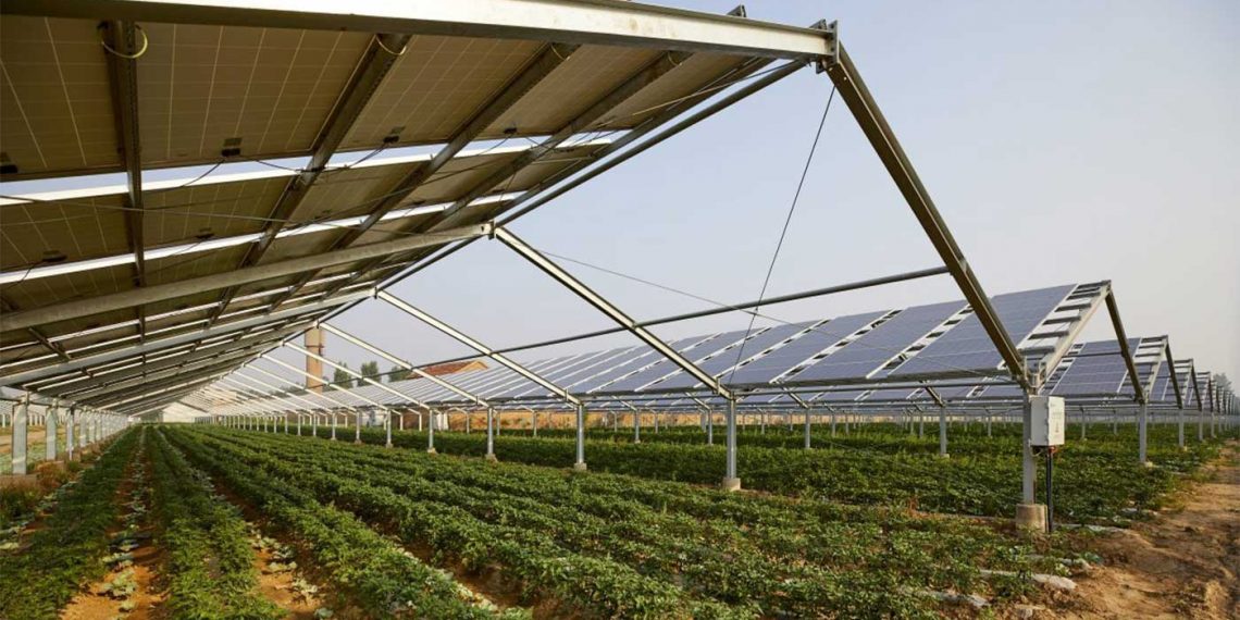 Φωτοβολταϊκά και γεωργική γη – Γράφει ο Κωνσταντίνος Χ. Γκαράκης