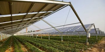 Φωτοβολταϊκά και γεωργική γη – Γράφει ο Κωνσταντίνος Χ. Γκαράκης