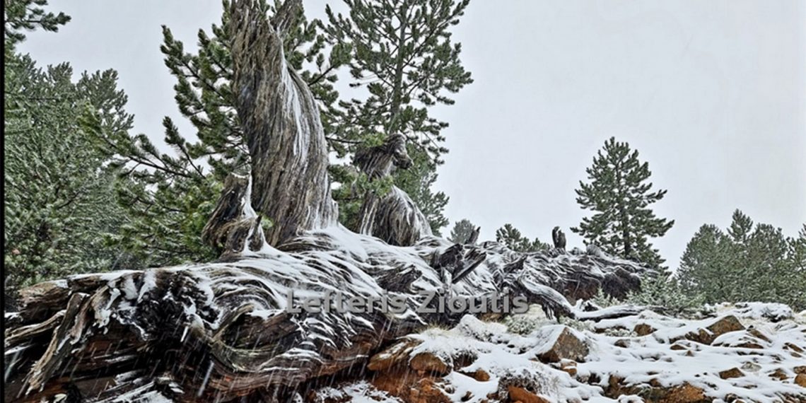 Απίστευτα όμορφες “χιονισμένες” εικόνες από τα ψηλά των Γρεβενών