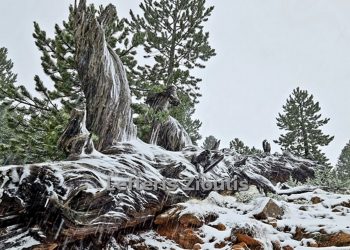 Απίστευτα όμορφες “χιονισμένες” εικόνες από τα ψηλά των Γρεβενών