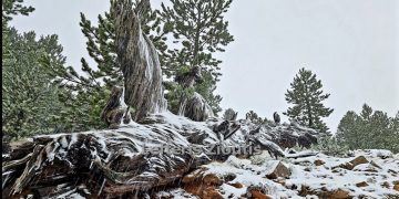 Απίστευτα όμορφες “χιονισμένες” εικόνες από τα ψηλά των Γρεβενών