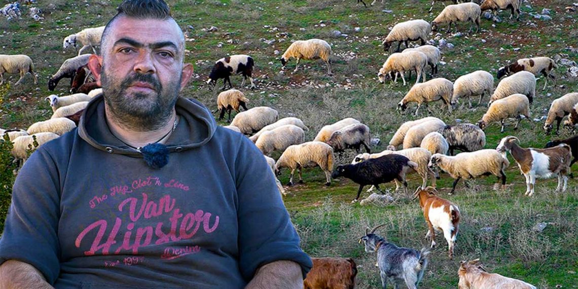 Η ΖΩΗ ΣΤΟ ΧΩΡΙΟ: Το κοπάδι του Βασίλη στο Βροντερό Πρεσπών και οι δυσκολίες του κτηνοτρόφου σε ένα ορεινό χωριό-VIDEO
