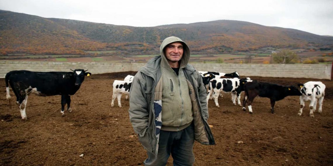 Η ζωή με 60 αγελάδες σε ένα χωριό «ούτε δέκα κατοίκων»- Ένας παραγωγός στην Κοζάνη εξηγεί