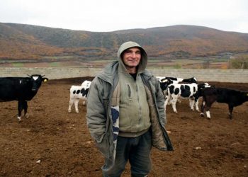 Η ζωή με 60 αγελάδες σε ένα χωριό «ούτε δέκα κατοίκων»- Ένας παραγωγός στην Κοζάνη εξηγεί