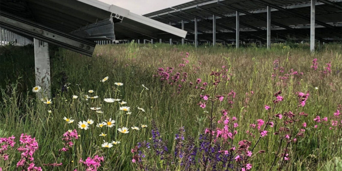 Φωτοβολταϊκά και βιοποικιλότητα – Γράφει ο Κων/νος Χ. Γκαράκης