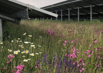 Φωτοβολταϊκά και βιοποικιλότητα – Γράφει ο Κων/νος Χ. Γκαράκης