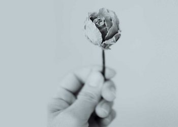 Μεταμοσχεύσεις: Τέσσερις υπέροχοι άνθρωποι μιλούν για τα πολύτιμα δώρα ζωής