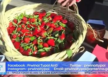 Μουστοπιπεριές, λιαστή πιπεριά, χαβιάρι πιπεριάς και άλλες νοστιμιές από τον “Ναουμίδη” παρουσιάστηκαν στον ANT1-VIDEO