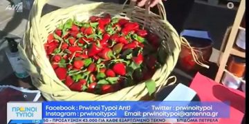 Μουστοπιπεριές, λιαστή πιπεριά, χαβιάρι πιπεριάς και άλλες νοστιμιές από τον “Ναουμίδη” παρουσιάστηκαν στον ANT1-VIDEO