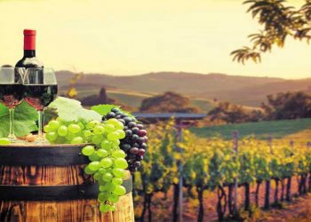 Περιφέρεια Δυτ. Μακεδονίας: Με επιτυχία ολοκληρώθηκε το διεθνές συνέδριο «Συνέργειες Οινοτουρισμού με άλλες θεματικές μορφές τουρισμού»