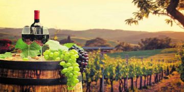 Περιφέρεια Δυτ. Μακεδονίας: Με επιτυχία ολοκληρώθηκε το διεθνές συνέδριο «Συνέργειες Οινοτουρισμού με άλλες θεματικές μορφές τουρισμού»