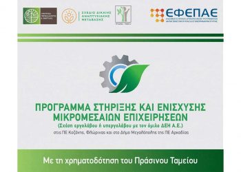 Ερωτήσεις & Απαντήσεις για τη Δράση «Ενίσχυση και Στήριξη των Μικρομεσαίων Επιχειρήσεων στις ΠΕ Κοζάνης, Φλώρινας, Δήμου Μεγαλόπολης (ΠΕ Αρκαδίας)