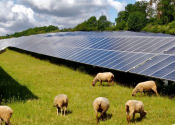 Η εφαρμογή Agrisolar σε φωτοβολταϊκους σταθμούς – Γράφει ο Κων/νος Χ. Γκαράκης