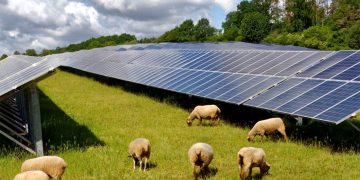Η εφαρμογή Agrisolar σε φωτοβολταϊκους σταθμούς – Γράφει ο Κων/νος Χ. Γκαράκης