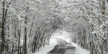 Έλλειψη βασικού εξοπλισμού για την αντιμετώπιση εκτάκτων αναγκών στο Δήμο Βελβεντού