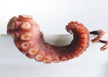 Χταπόδι με μέλι και κρόκο Κοζάνης του Έκτορα Μποτρίνι