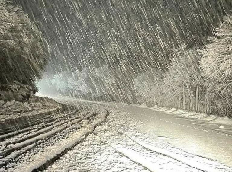 Έντονη χιονόπτωση αυτή την στιγμή στο χιονοδρομικό κέντρο Βασιλίτσας