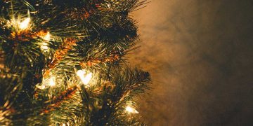 Το Σάββατο 4 Δεκεμβρίου το άναμμα του Χριστουγεννιάτικου Δέντρου στο Αμύνταιο