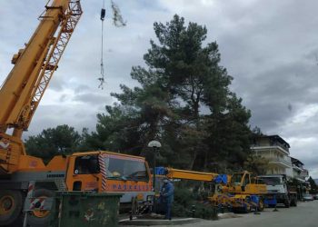 Πτολεμαΐδα: Κοπές επικίνδυνων δέντρων στο πάρκο Χρηστίδη