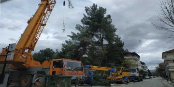 Πτολεμαΐδα: Κοπές επικίνδυνων δέντρων στο πάρκο Χρηστίδη