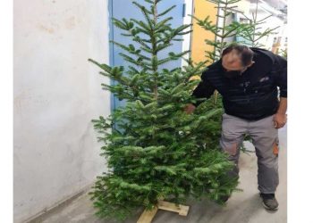 Προσφορά χριστουγεννιάτικων δέντρων στο Μποδοσάκειο Νοσοκομείο από την Καλλιόπη Σεμερτζίδου