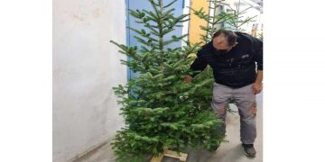 Προσφορά χριστουγεννιάτικων δέντρων στο Μποδοσάκειο Νοσοκομείο από την Καλλιόπη Σεμερτζίδου