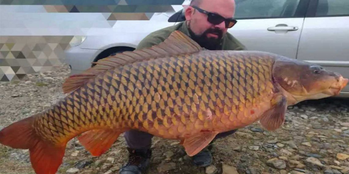 Πτολεμαϊδιώτης έβγαλε γριβάδι-γίγας 24 κιλών στη λίμνη Πολυφύτου!