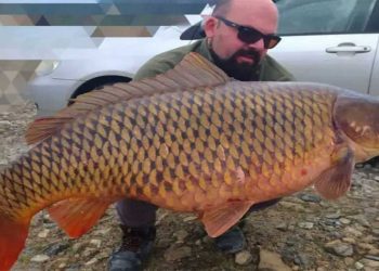 Πτολεμαϊδιώτης έβγαλε γριβάδι-γίγας 24 κιλών στη λίμνη Πολυφύτου!