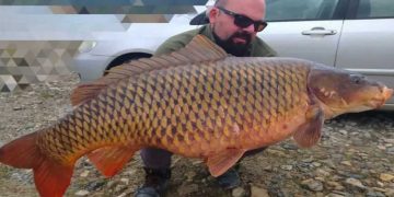 Πτολεμαϊδιώτης έβγαλε γριβάδι-γίγας 24 κιλών στη λίμνη Πολυφύτου!