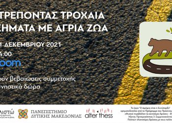 Αποτρέποντας τροχαία ατυχήματα με άγρια ζώα- Εκδήλωση που διοργανώνει η περιβαλλοντική οργάνωση Καλλιστώ