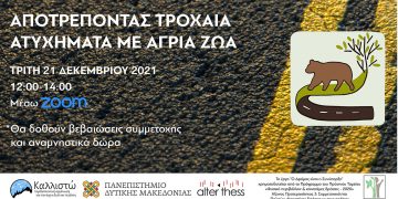 Αποτρέποντας τροχαία ατυχήματα με άγρια ζώα- Εκδήλωση που διοργανώνει η περιβαλλοντική οργάνωση Καλλιστώ