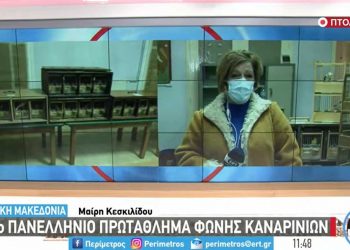 Στην Αναρράχη Εορδαίας διεξάγεται ως το Σάββατο το 24ο Πανελλήνιο Πρωτάθλημα Καναρινιών Φωνής -Δείτε τα μελωδικά τους κελαϊδίσματα στο VIDEO