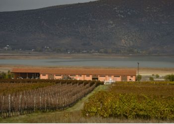 Κτήμα ΑΛΦΑ: Δύο οραματιστές δημιουργούν ένα από τα 25 καλύτερα κρασιά του κόσμου στο Αμύνταιο