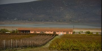 Κτήμα ΑΛΦΑ: Δύο οραματιστές δημιουργούν ένα από τα 25 καλύτερα κρασιά του κόσμου στο Αμύνταιο