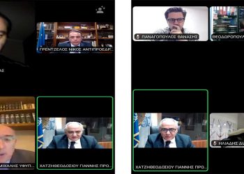 Το Σωματείο Εκπαιδευτών Οδήγησης Δυτικής Μακεδονίας συμμετείχε σε τηλεδιάσκεψη για τις νέες ψηφιακές υπηρεσίες στον κλάδο των εκπαιδευτών οδήγησης