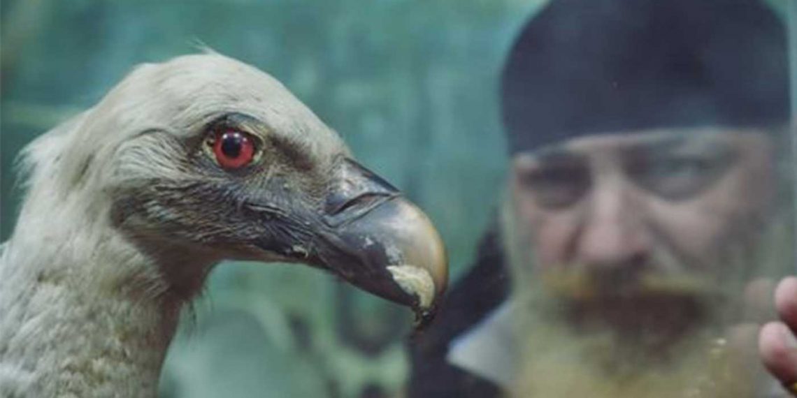 Ο “Πειρατής” στο εμβληματικό κτίριο του Ιστορικού-Λαογραφικού και φυσικής ιστορίας μουσείου Κοζάνης-VIDEO