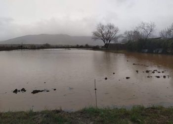 Πλημμυρισμένα χωράφια στο δρόμο για Ασβεστόπετρα