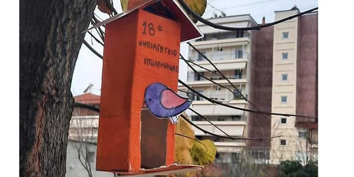 Πτολεμαΐδα: Ταΐστρα πουλιών σε δέντρο από μαθητές νηπιαγωγείου – Το όμορφο μήνυμα του δημάρχου