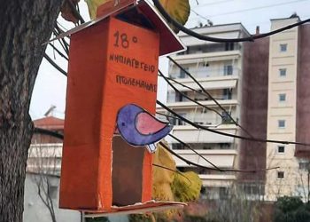 Πτολεμαΐδα: Ταΐστρα πουλιών σε δέντρο από μαθητές νηπιαγωγείου – Το όμορφο μήνυμα του δημάρχου
