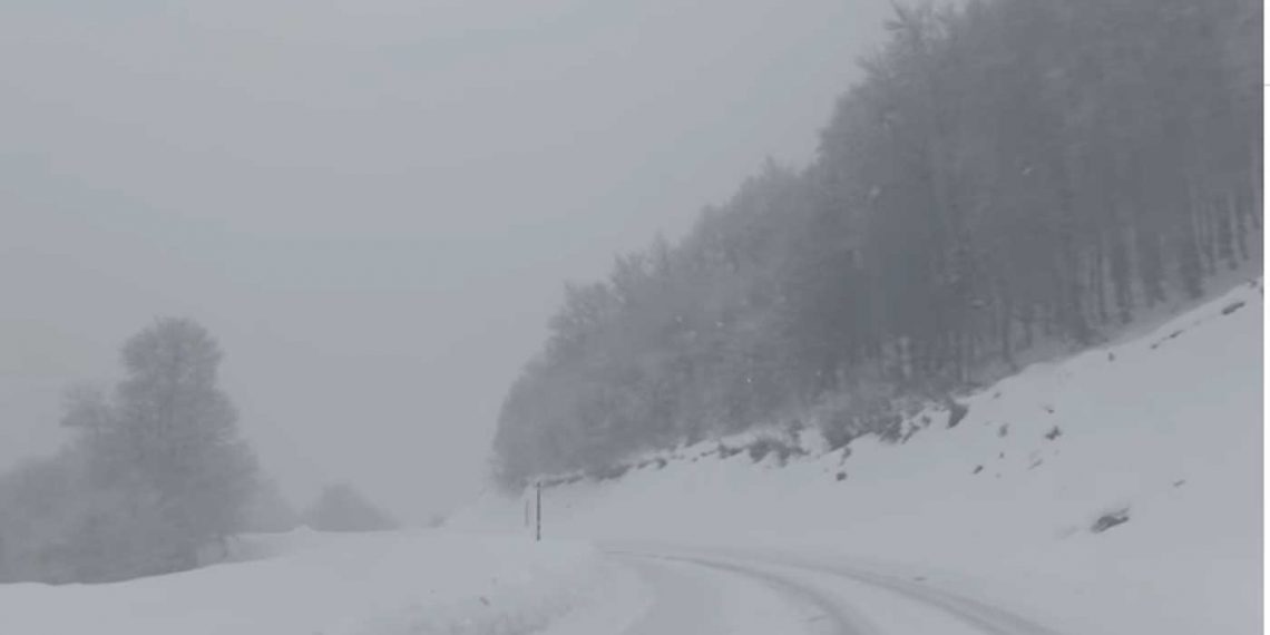 Έντονη χιονόπτωση στην Βασιλίτσα